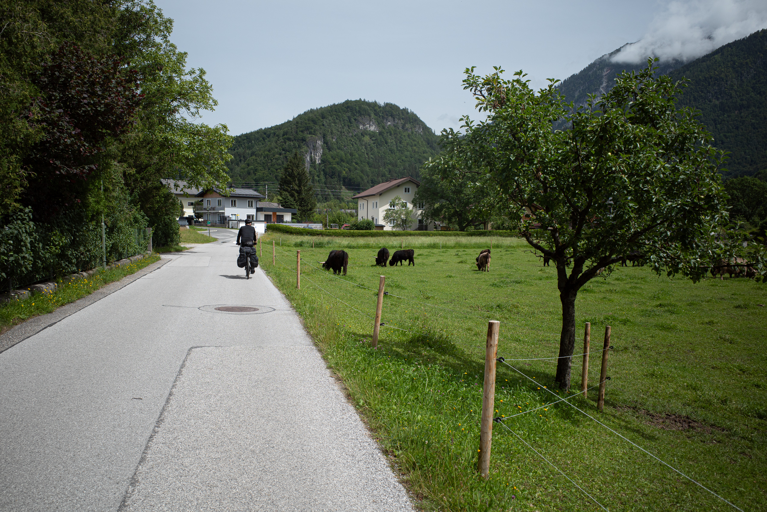 Salzburg – Bischofshofen: Am Salzachradweg nach Süden